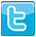 Twitter Social Icon